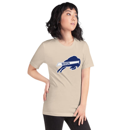 North Sand Mountain High School Design 1 — Soft Cream