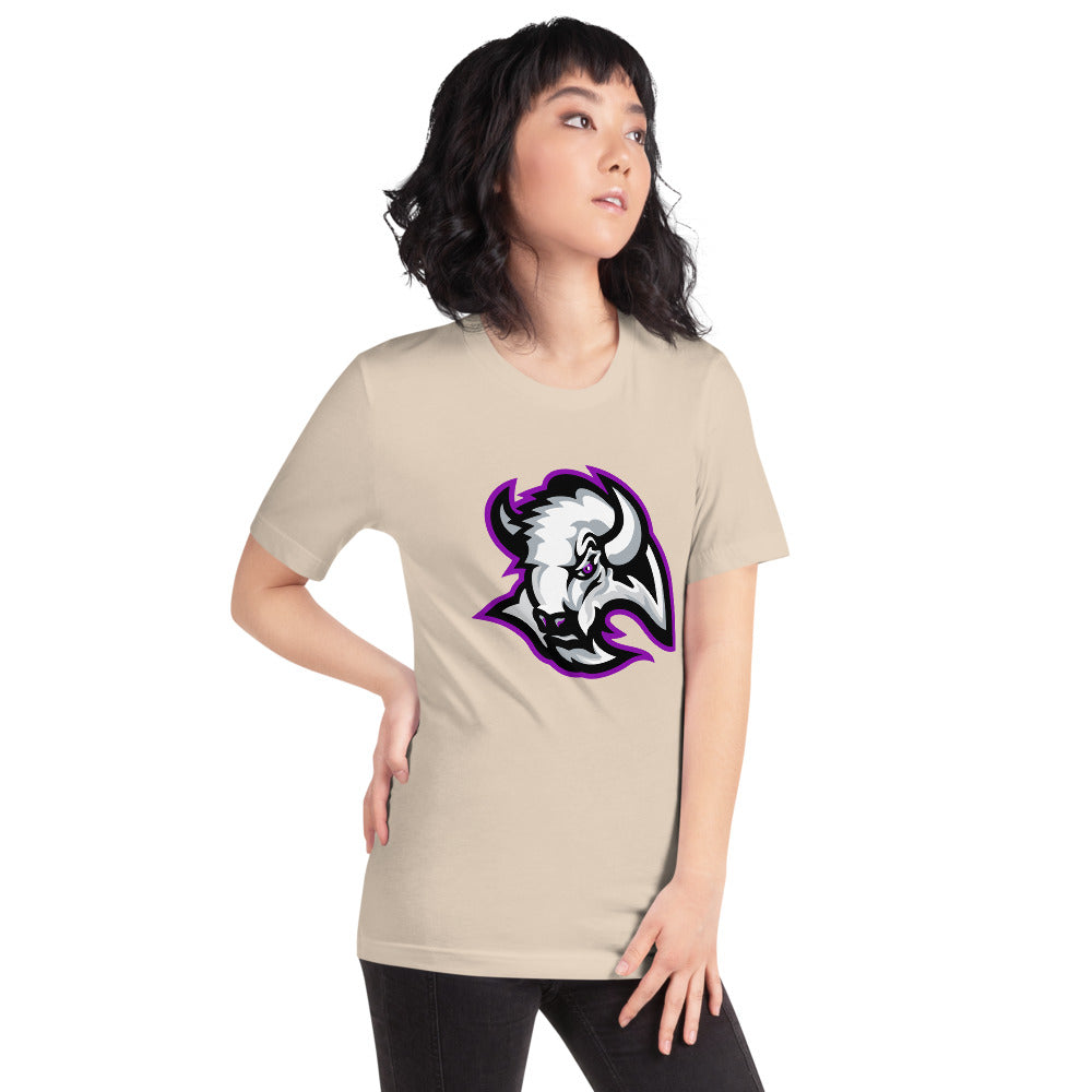 A H Parker High School Design 1 — Soft Cream