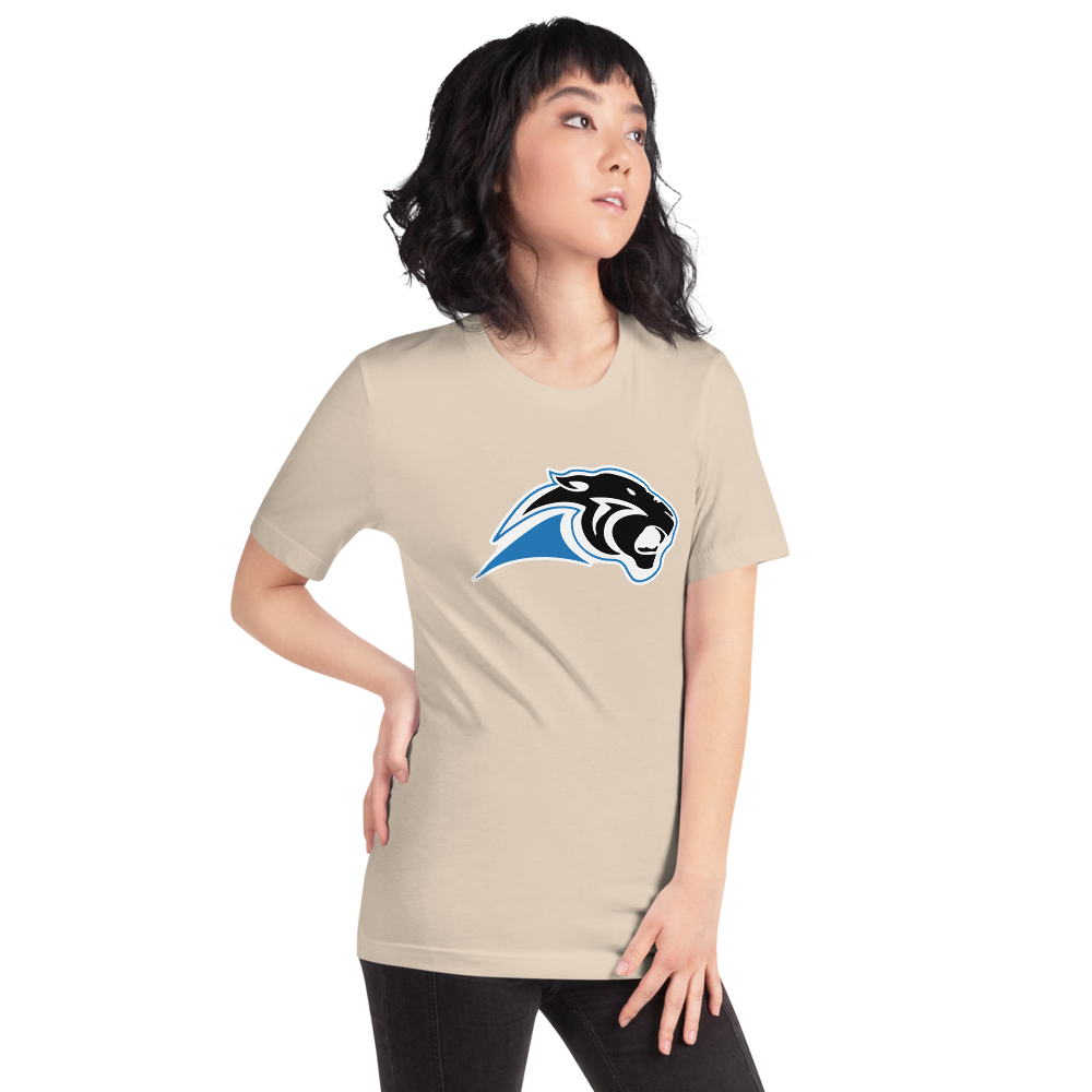 Pahranagat Valley High School Design 1 — Soft Cream