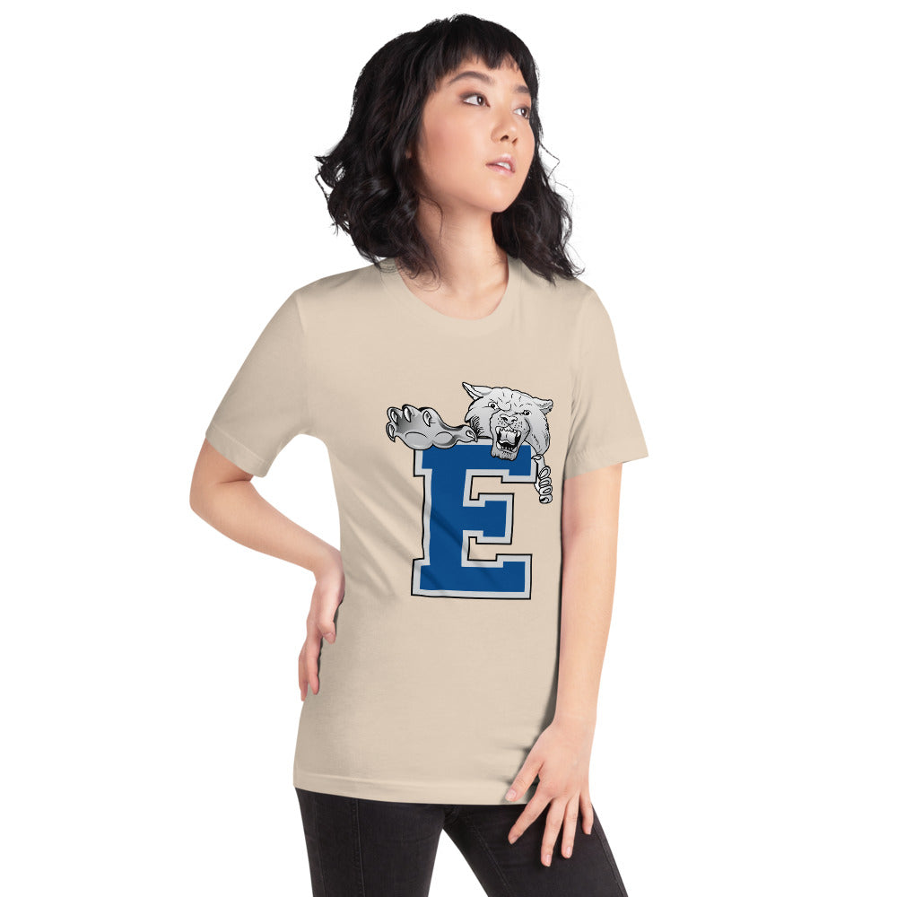 Enterprise High School Design 1 — Soft Cream