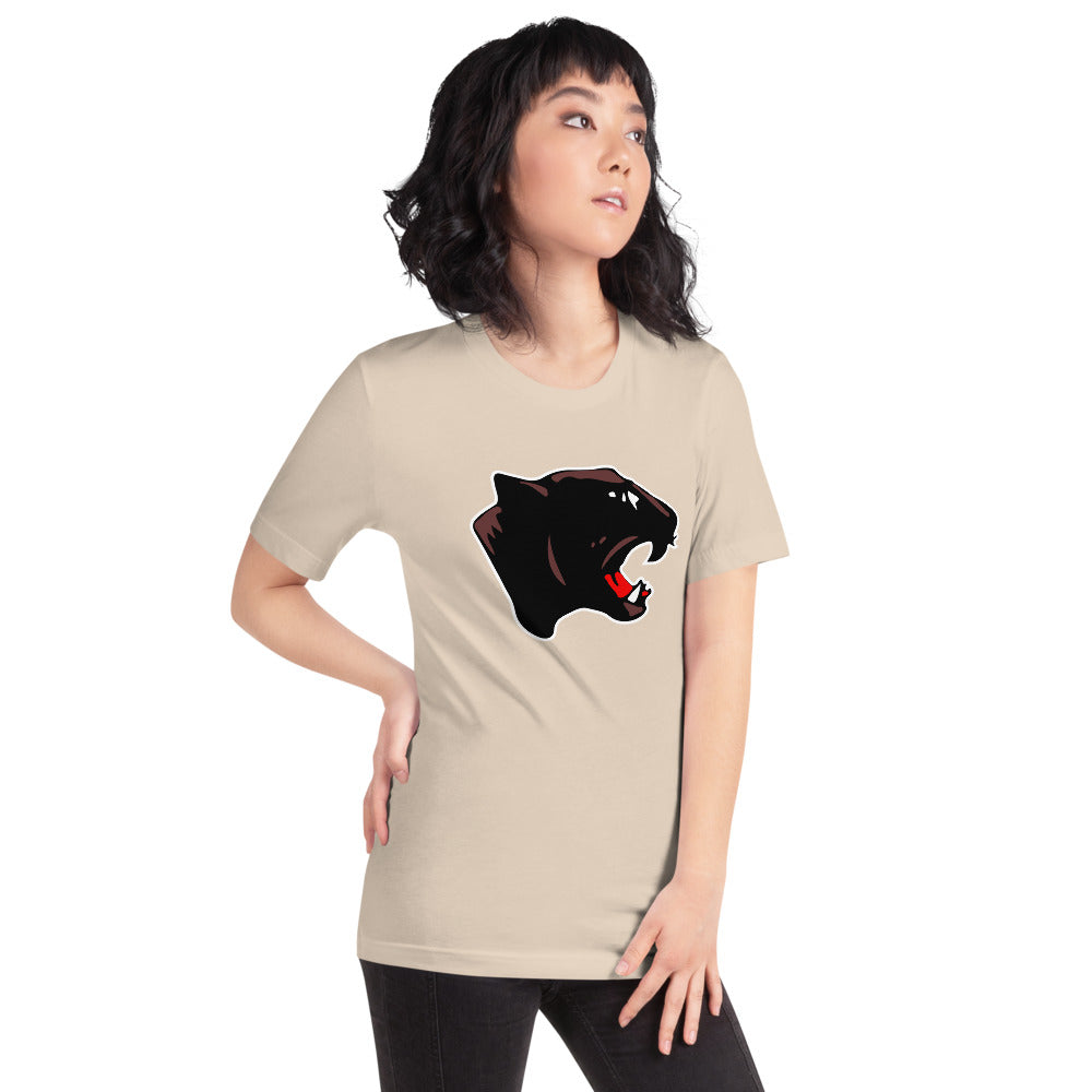 Collinsville High School Design 1 — Soft Cream