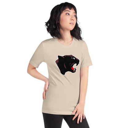 Collinsville High School Design 1 — Soft Cream