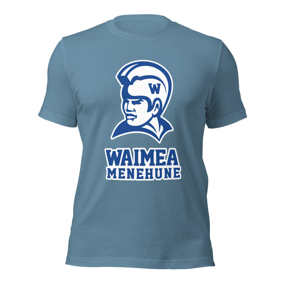 Waimea High School Design 1 — Steel Blue