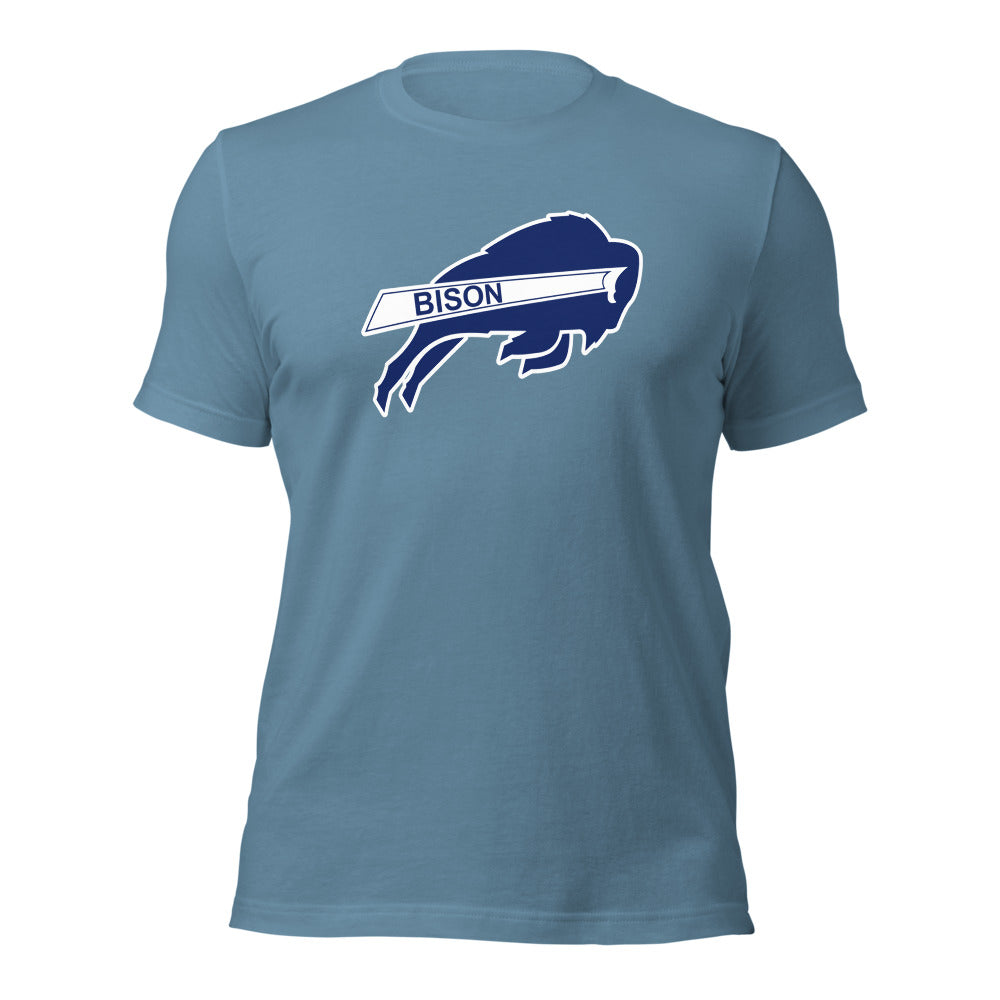 North Sand Mountain High School Design 1 — Steel Blue