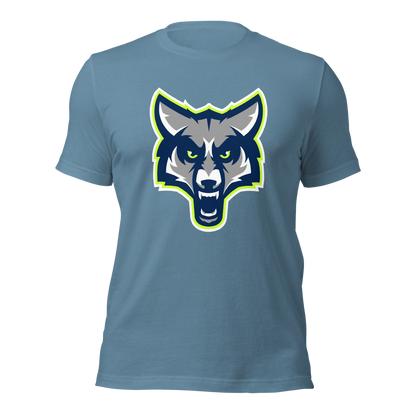 Timpanogos High School Design 1 — Steel Blue