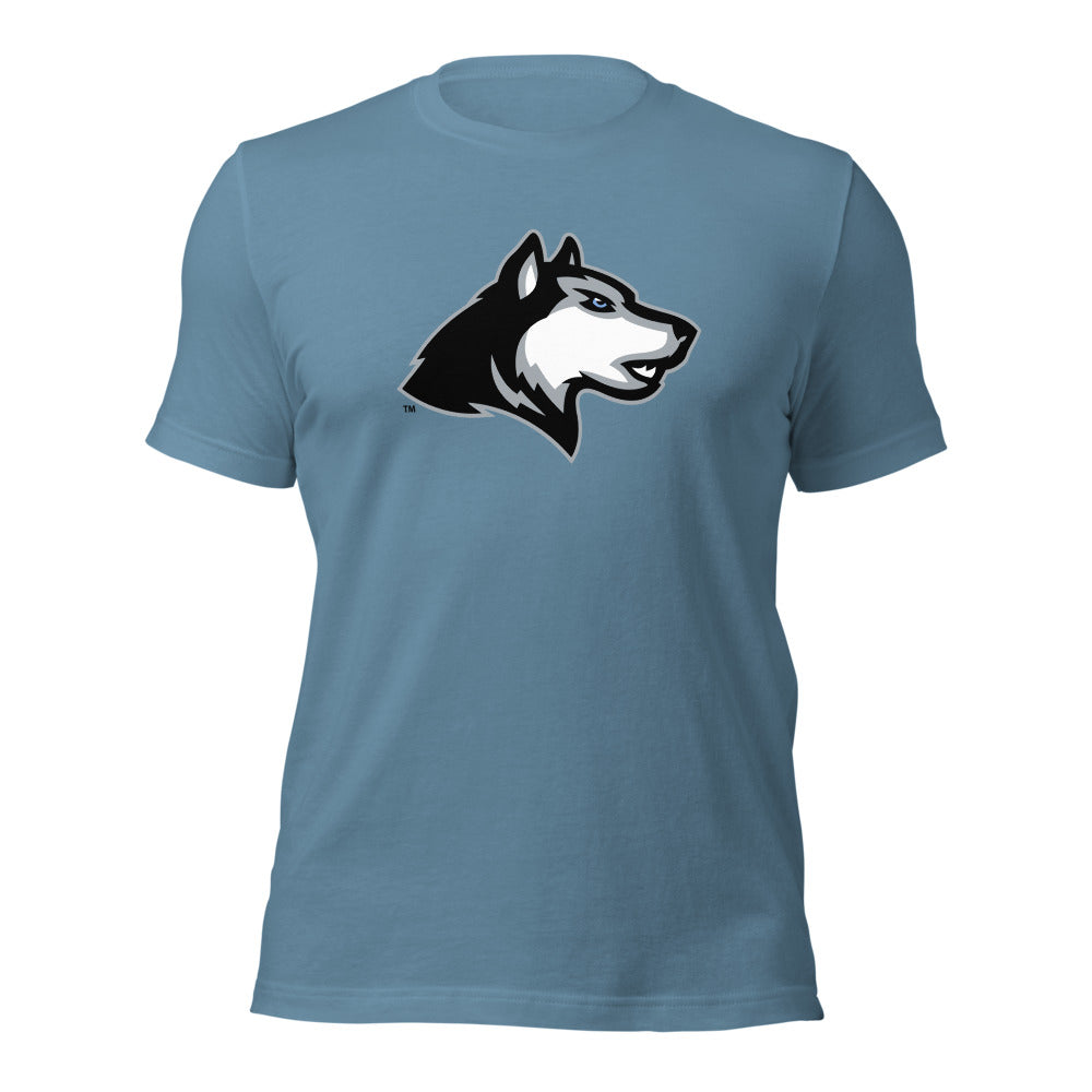 Helena High School Design 1 — Steel Blue
