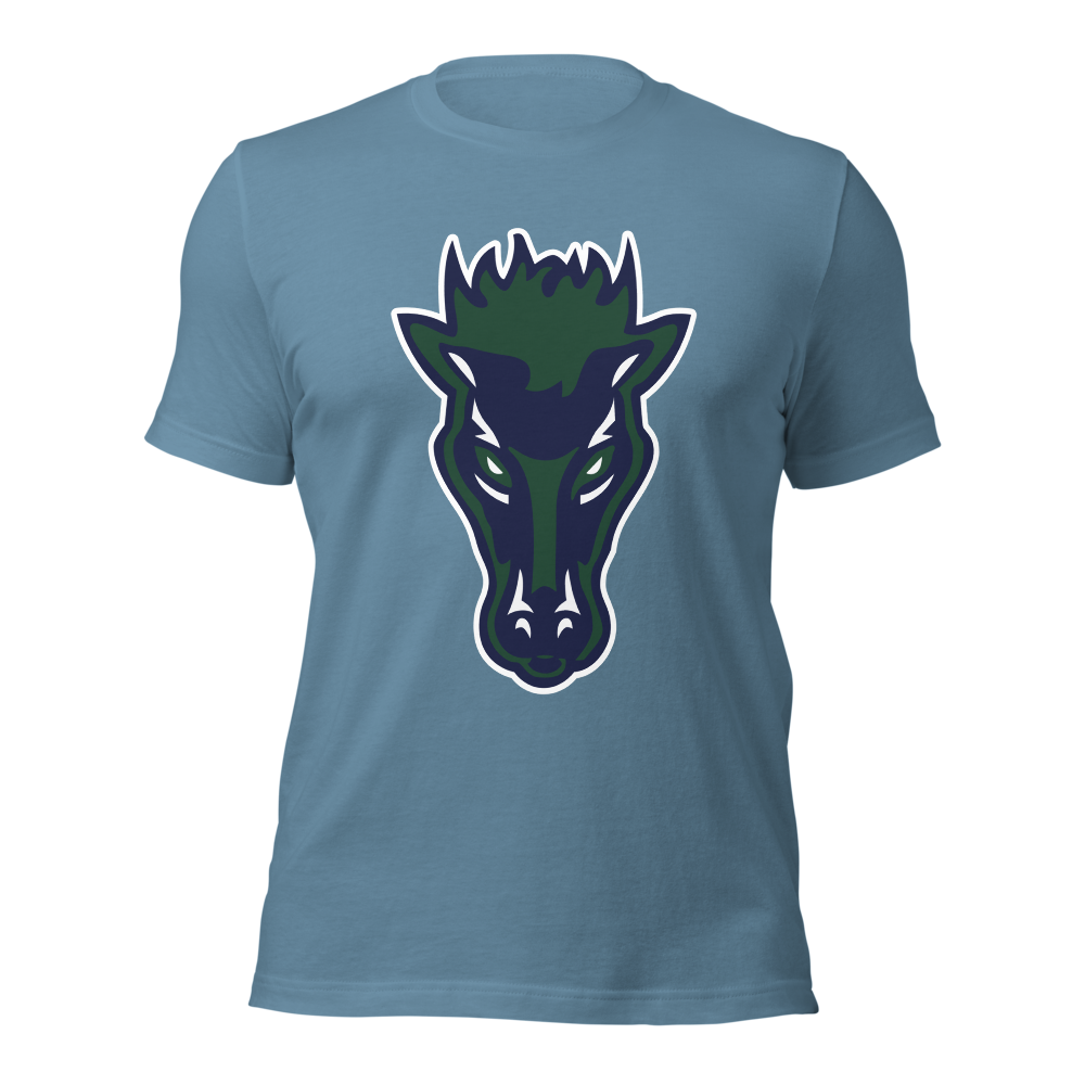 Damonte Ranch High School Design 1 — Steel Blue