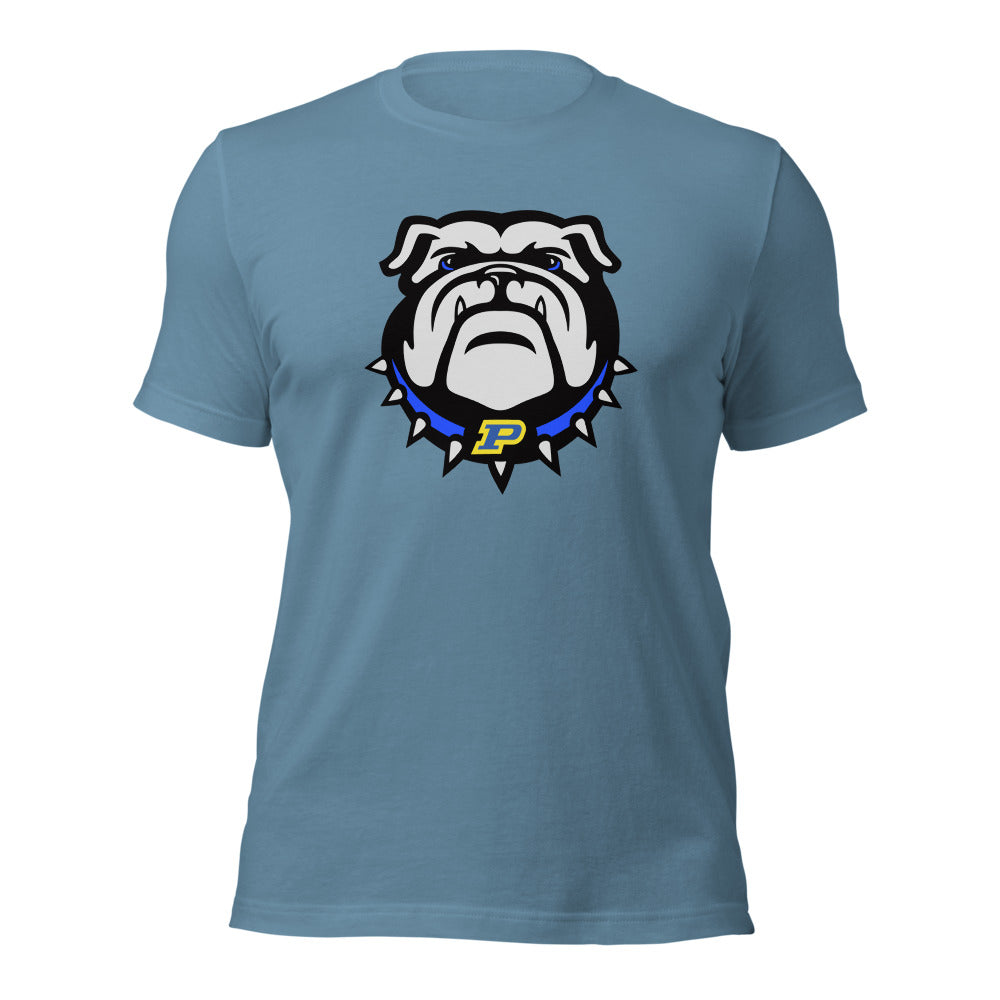 Piedmont High School Design 1 — Steel Blue