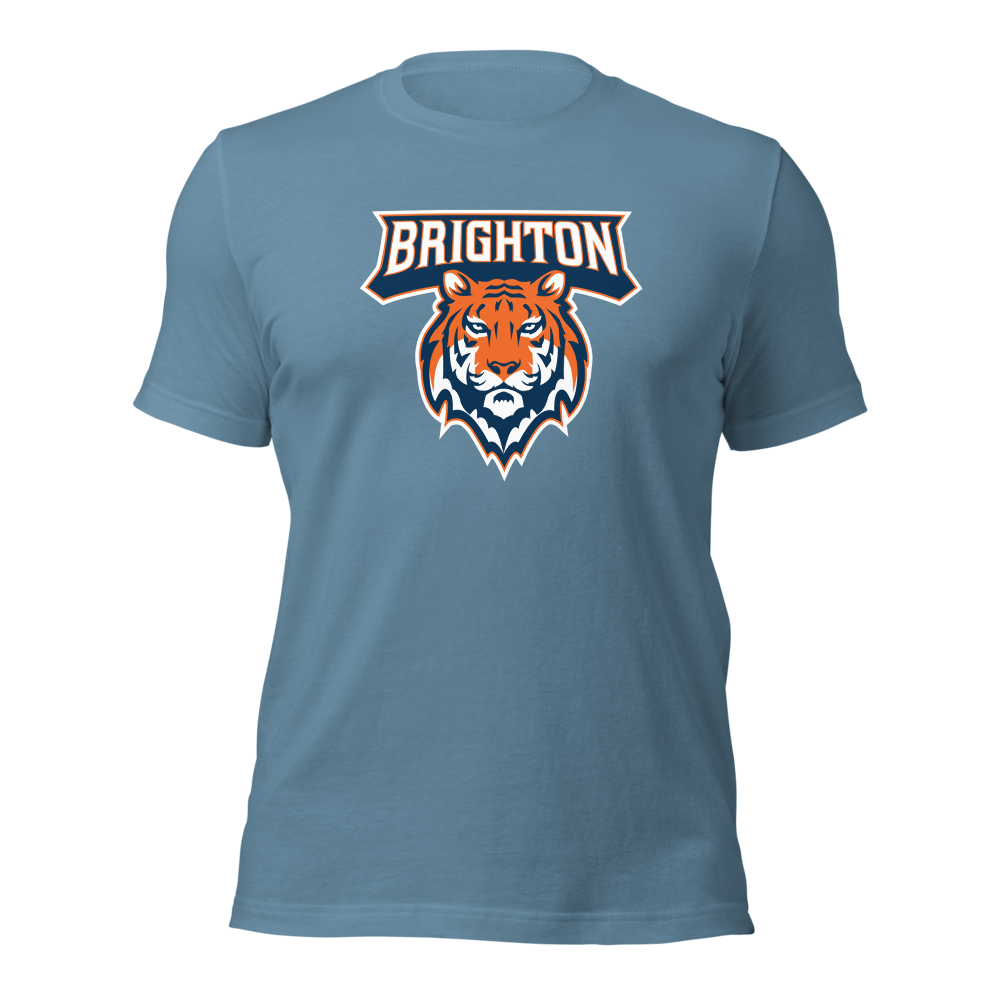 Brighton High School Design 1 — Steel Blue