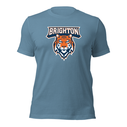 Brighton High School Design 1 — Steel Blue
