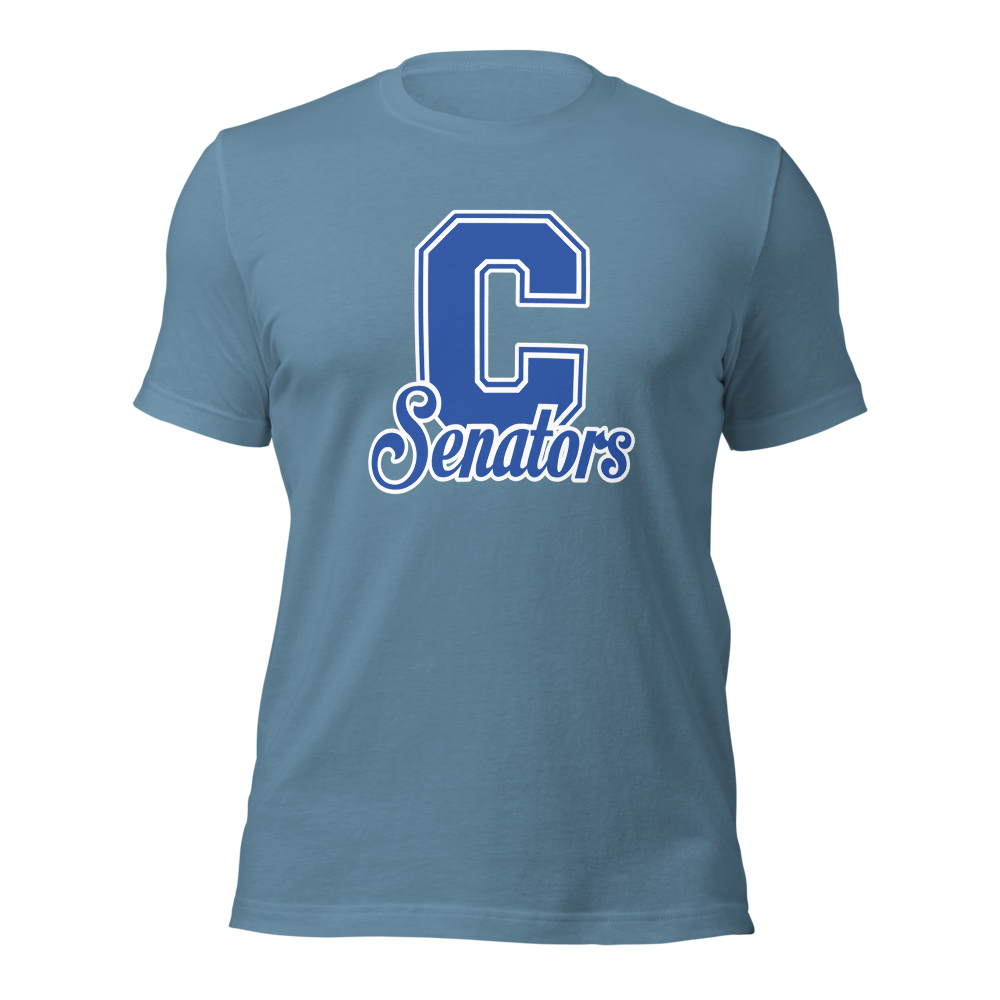 Carson High School Design 1 — Steel Blue