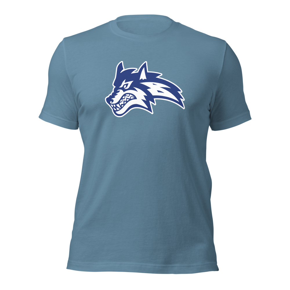 Basic Academy Design 1 — Steel Blue