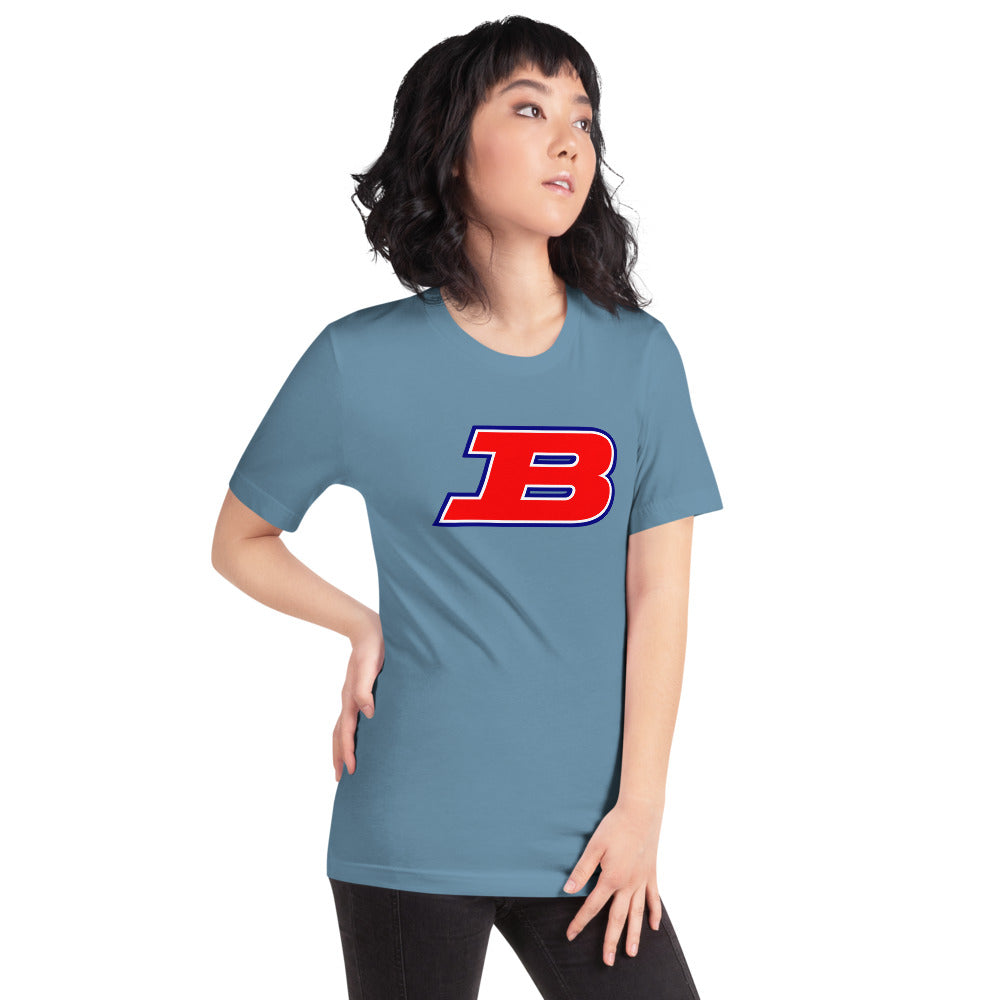 Albert P. Brewer High School Design 1 — Steel Blue