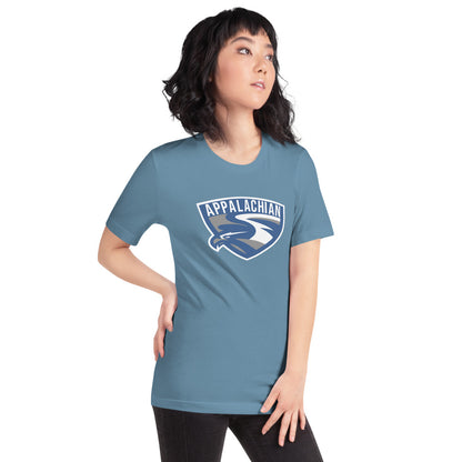 Appalachian High School Design 1 — Steel Blue