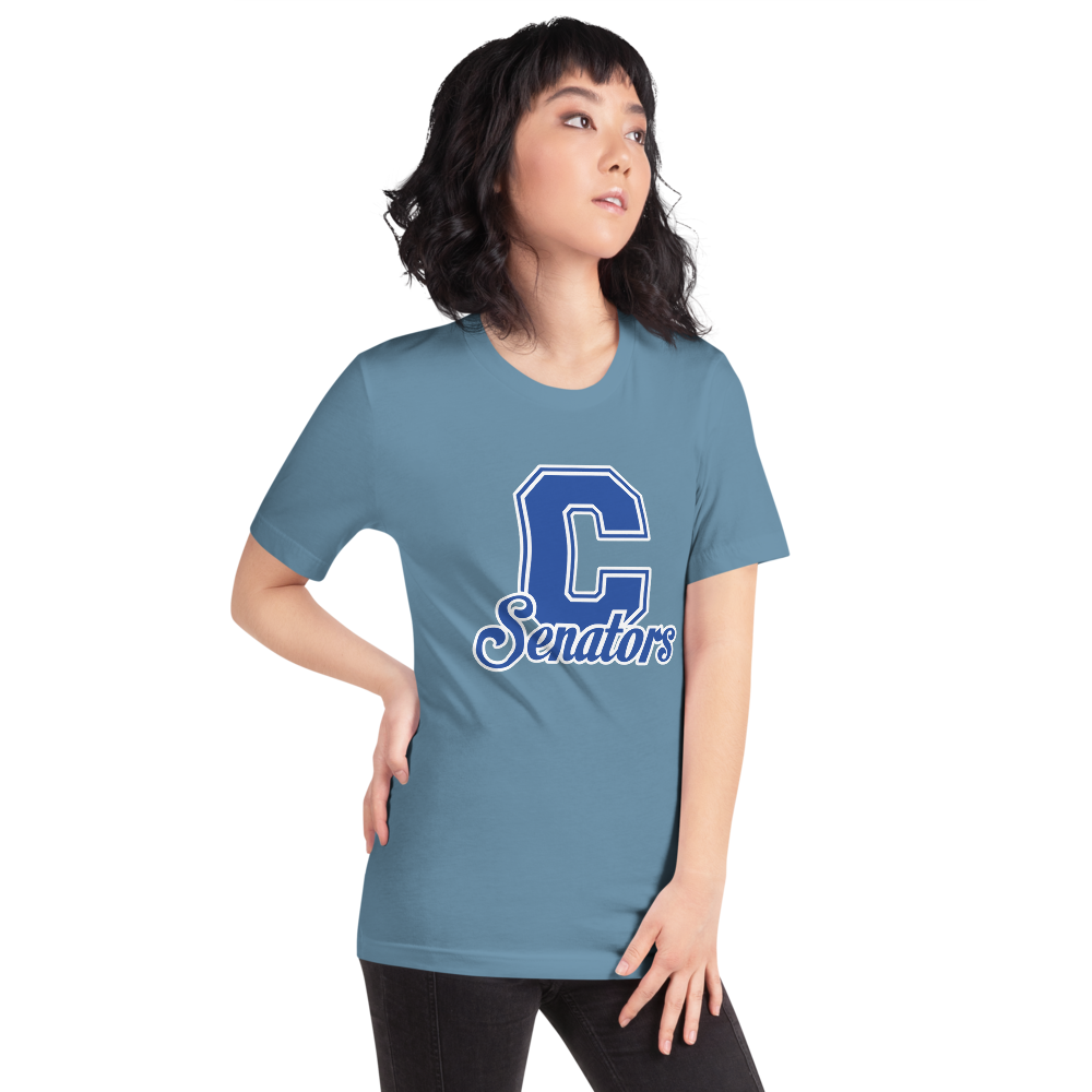 Carson High School Design 1 — Steel Blue