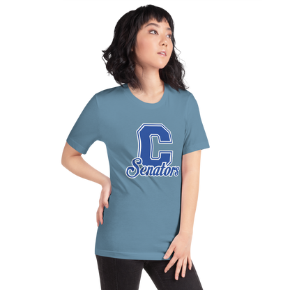 Carson High School Design 1 — Steel Blue