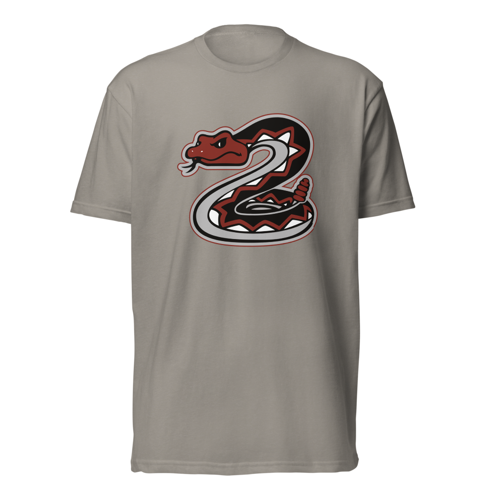 Desert Oasis High School Design 1 — Stone Grey