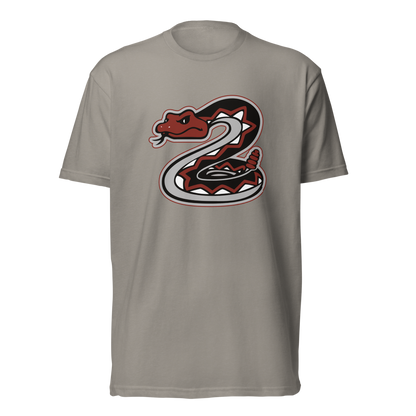 Desert Oasis High School Design 1 — Stone Grey