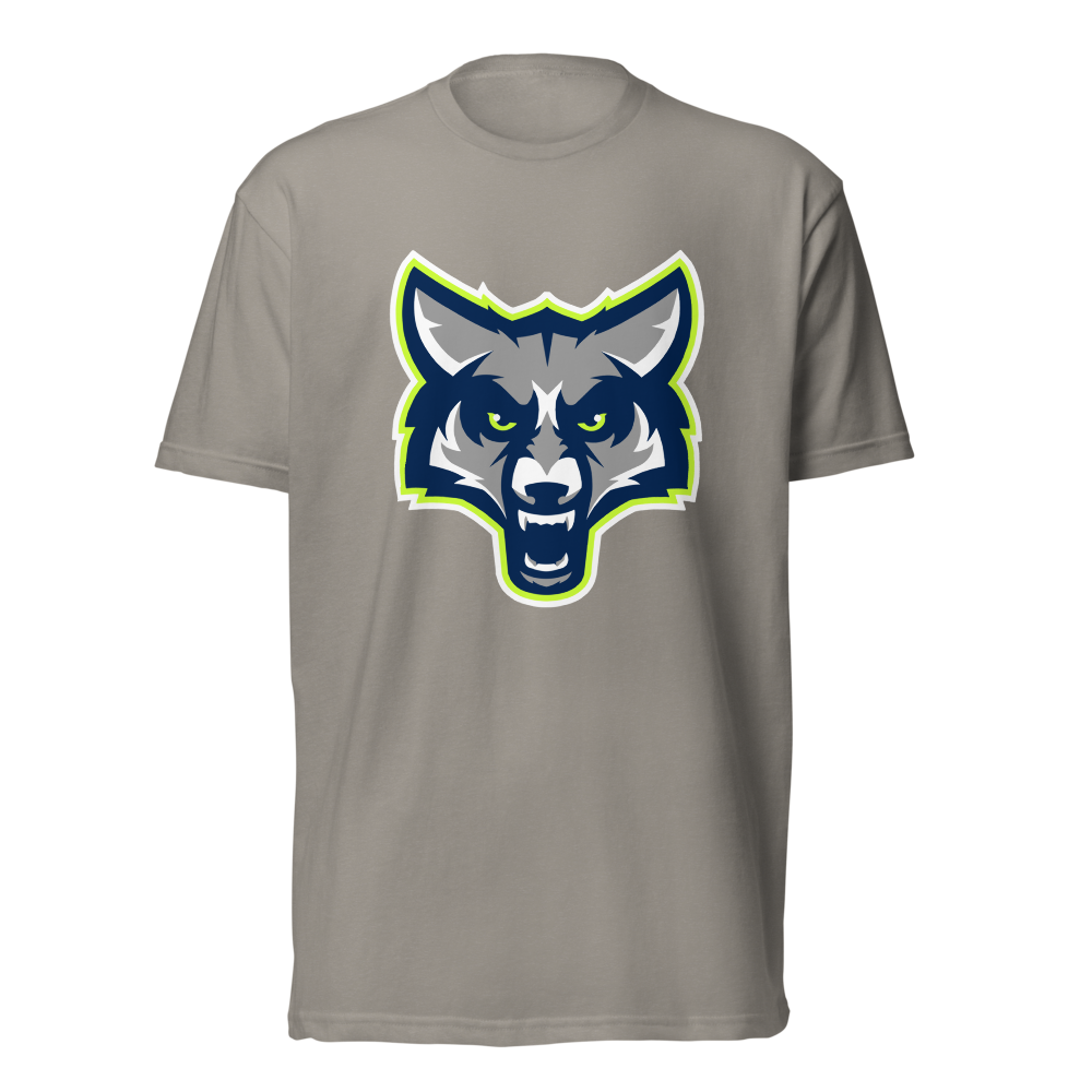 Timpanogos High School Design 1 — Stone Grey