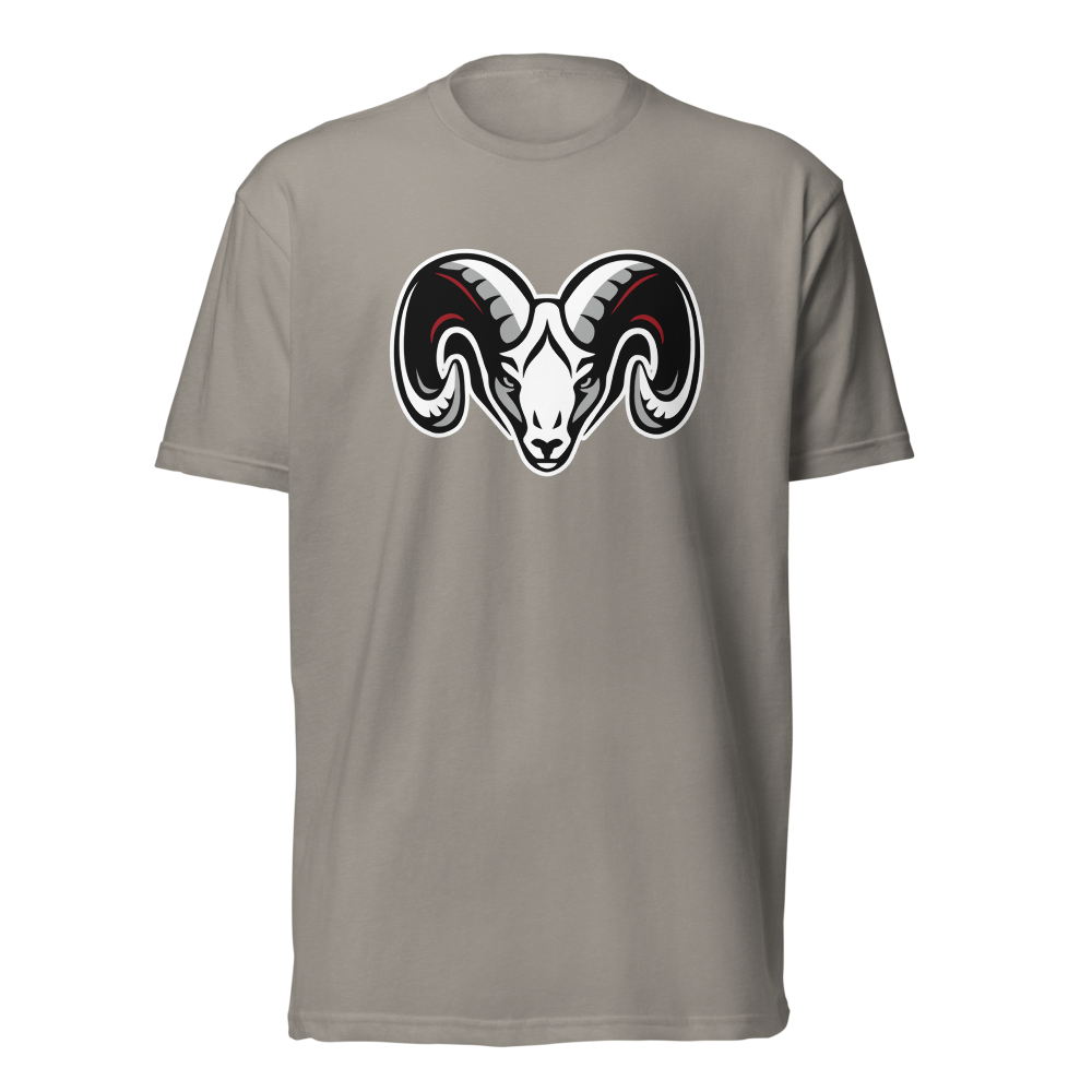 South Sevier High School Design 1 — Stone Grey