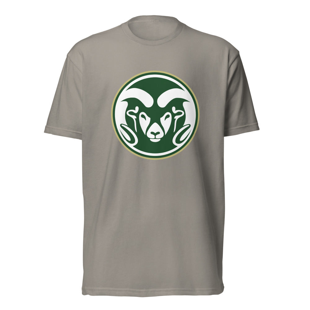 Sylvania High School Design 1 — Stone Grey