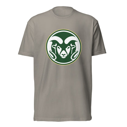 Sylvania High School Design 1 — Stone Grey