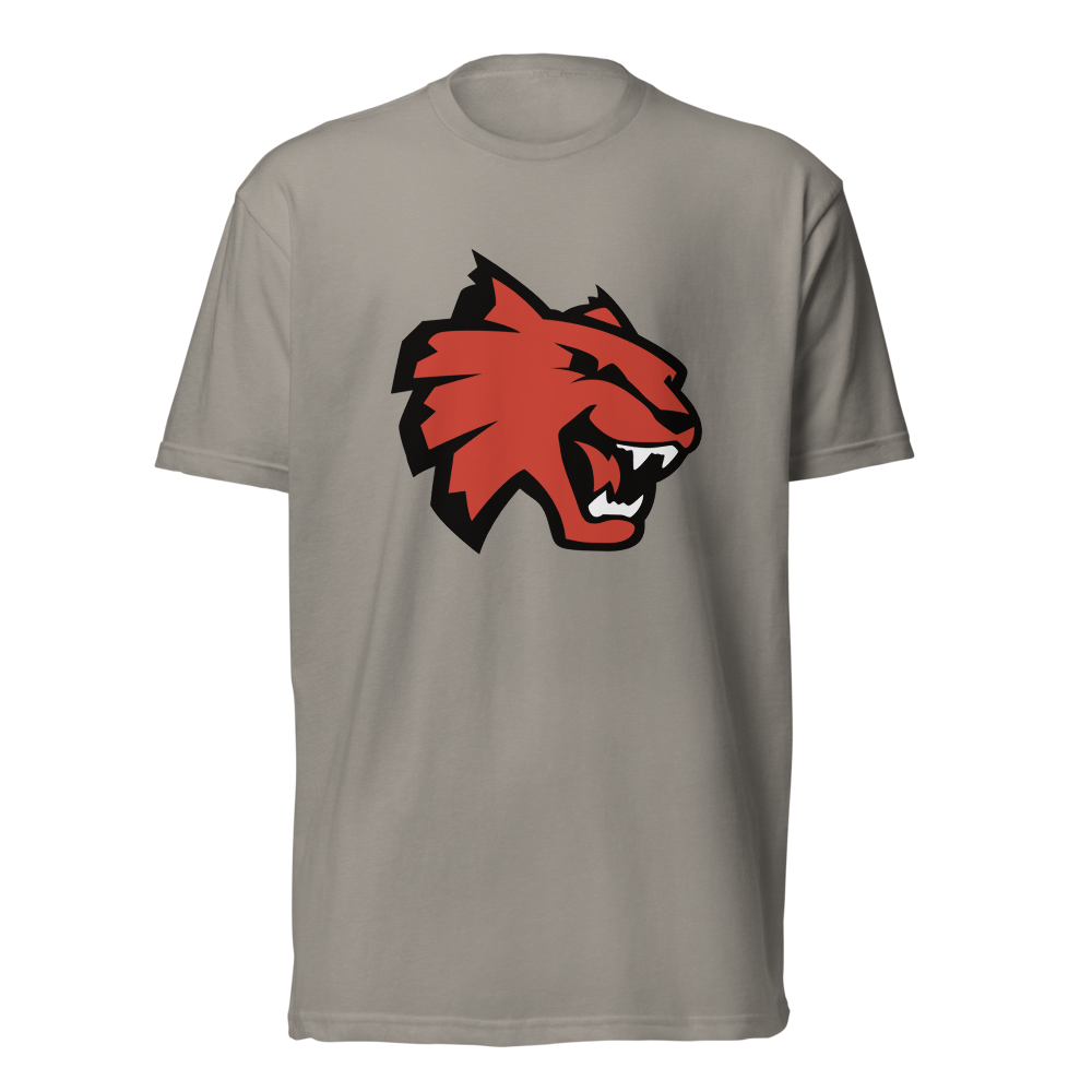 Las Vegas High School Design 1 — Stone Grey