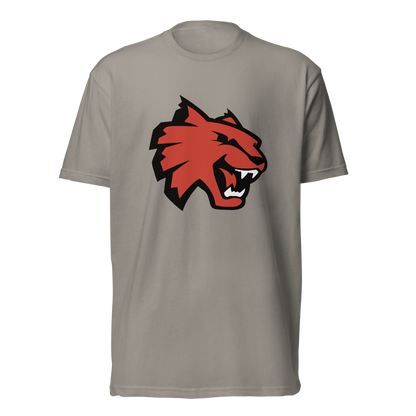 Las Vegas High School Design 1 — Stone Grey