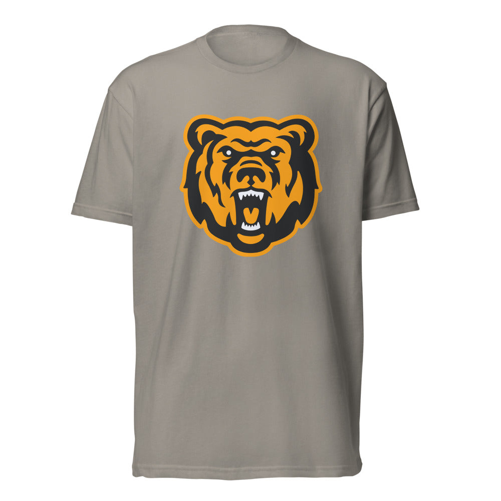 Leroy High School Design 1 — Stone Grey