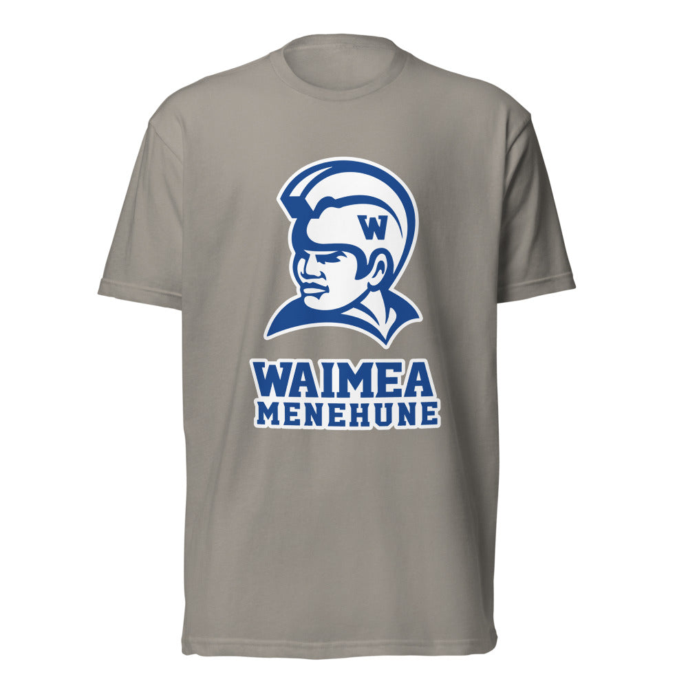 Waimea High School Design 1 — Stone Grey
