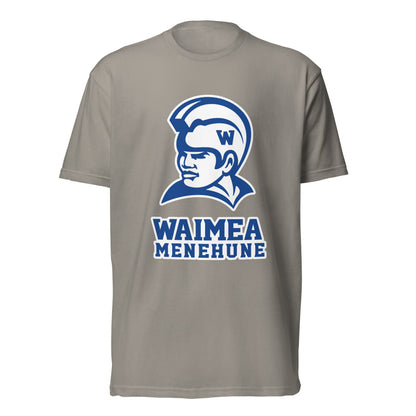 Waimea High School Design 1 — Stone Grey