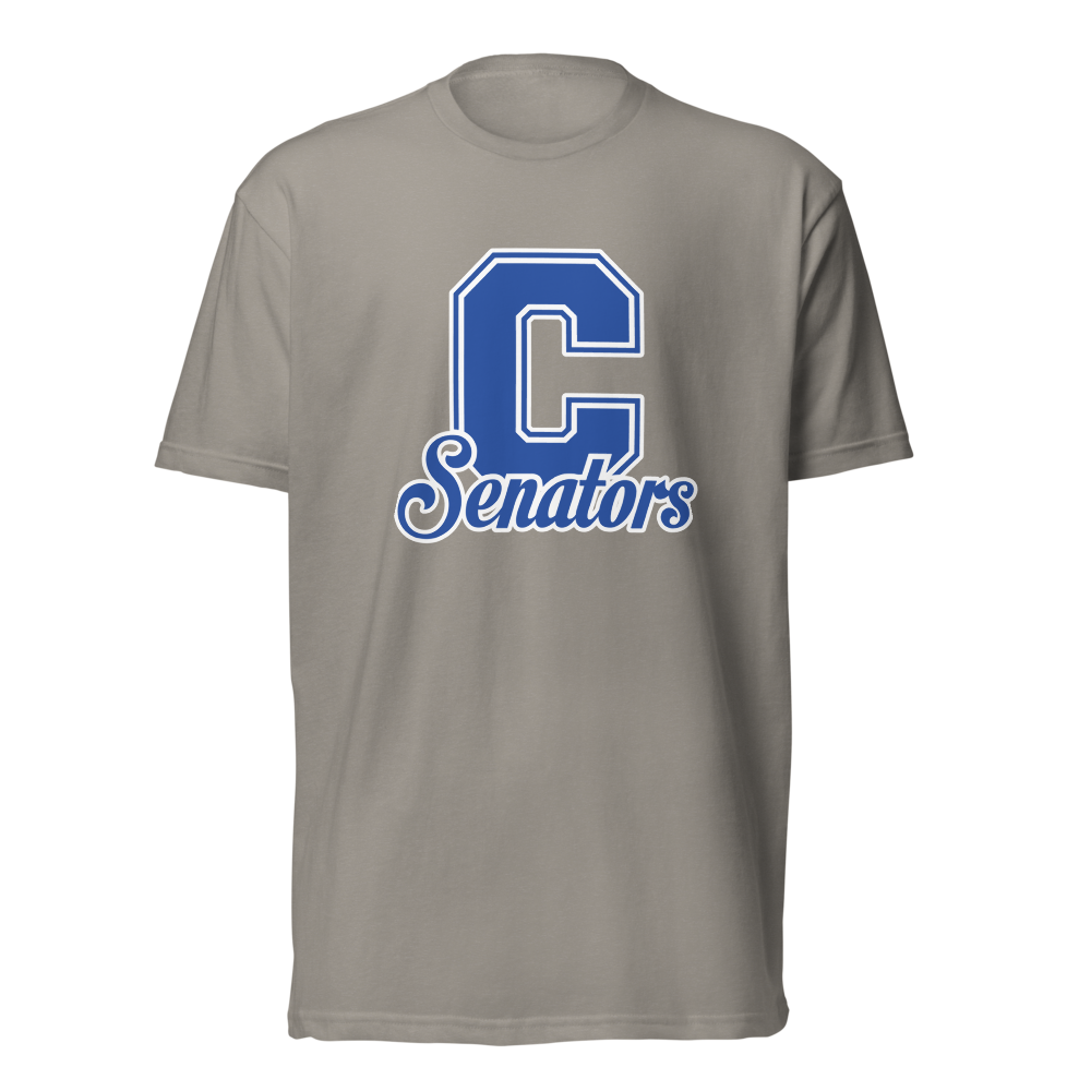 Carson High School Design 1 — Stone Grey