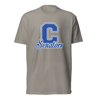 Carson High School Design 1 — Stone Grey