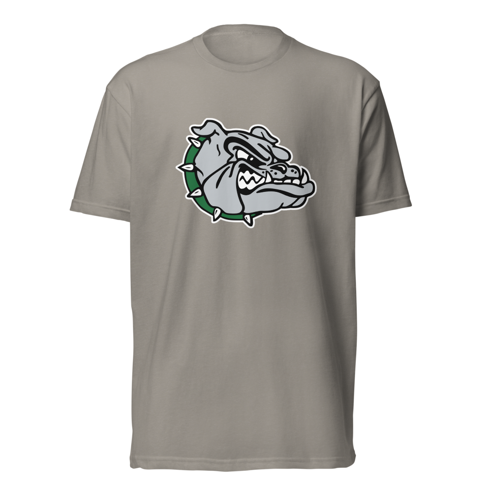 Virgin Valley High School Design 1 — Stone Grey