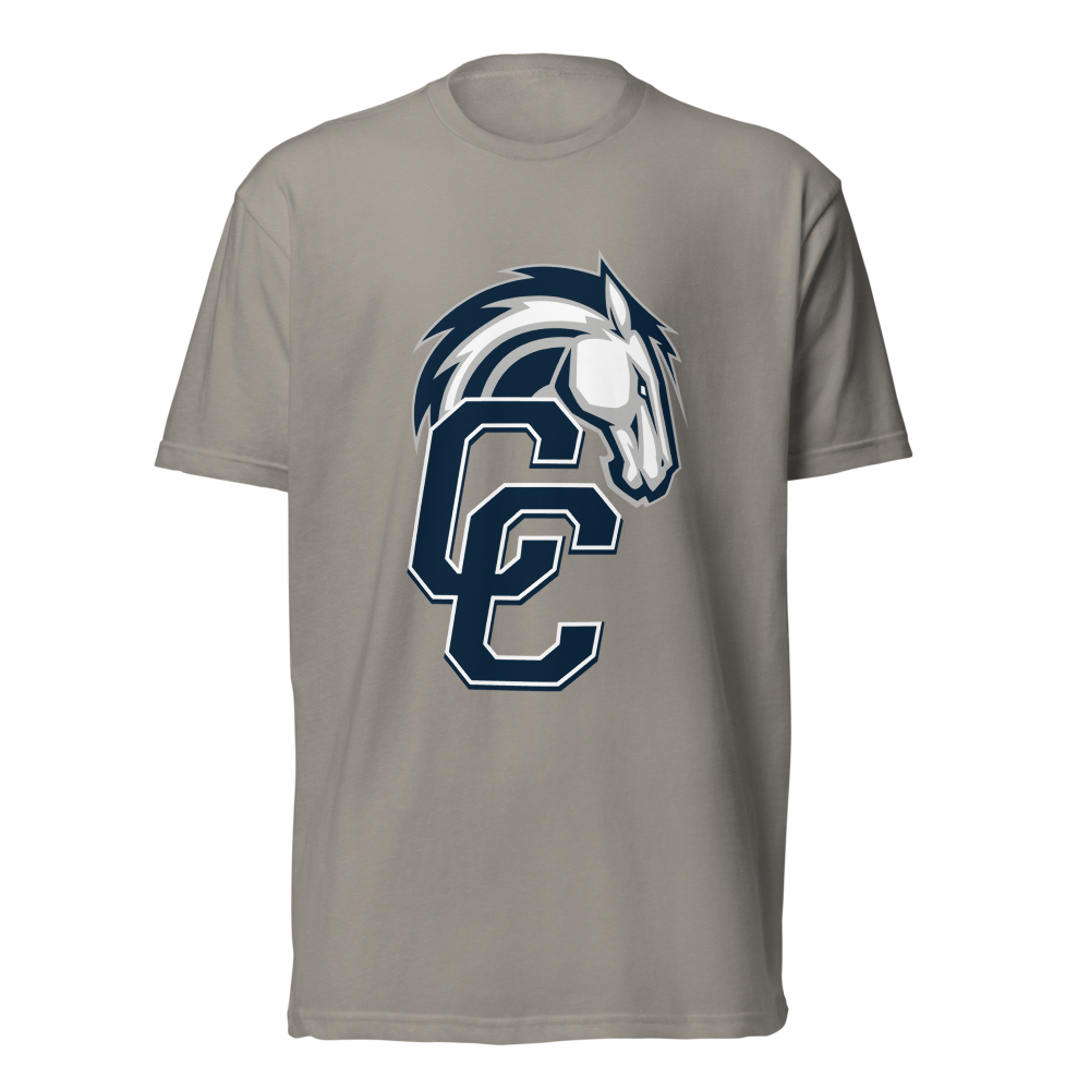 Corner Canyon High School Design 1 — Stone Grey