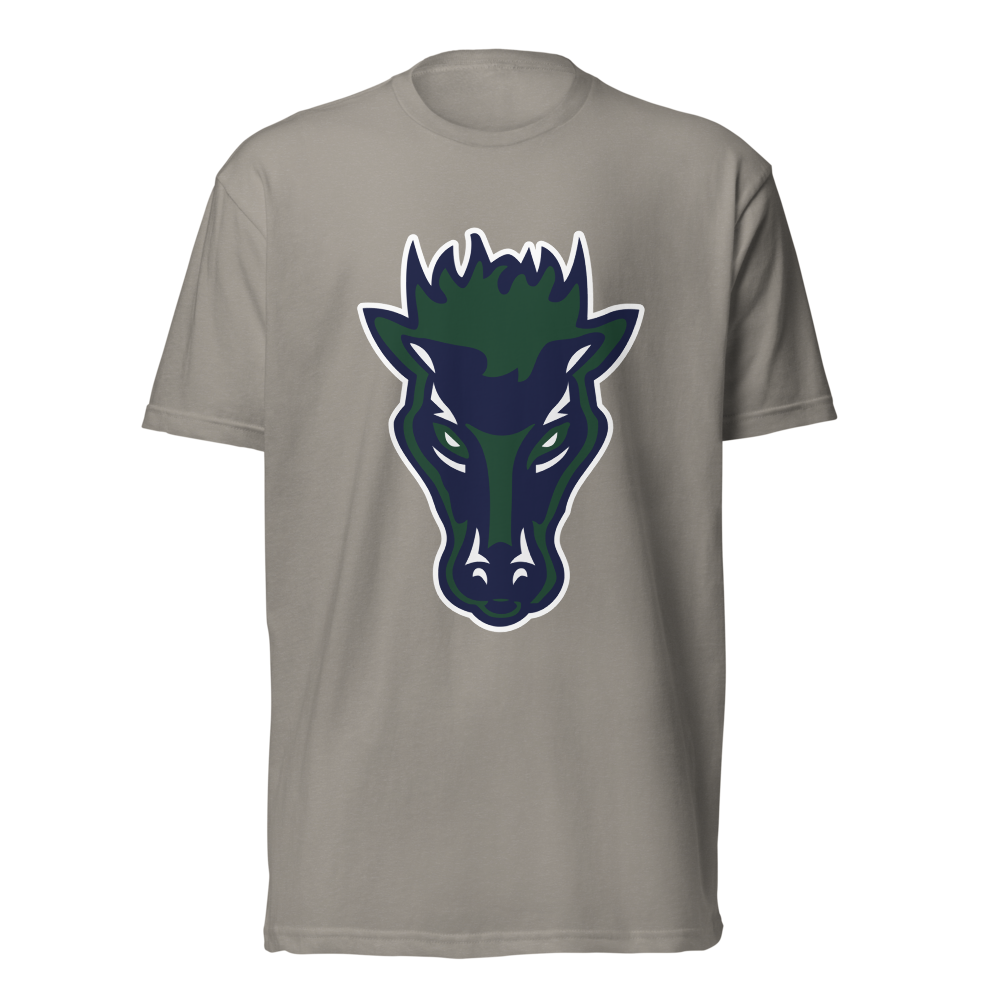Damonte Ranch High School Design 1 — Stone Grey