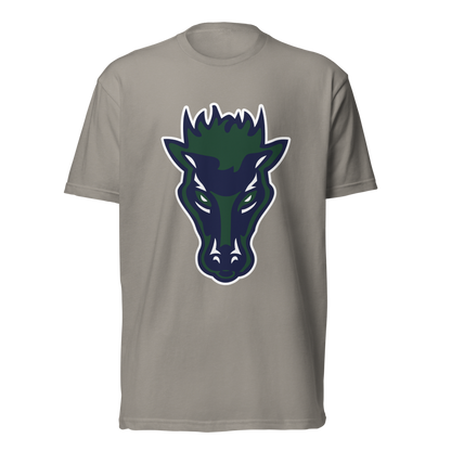 Damonte Ranch High School Design 1 — Stone Grey