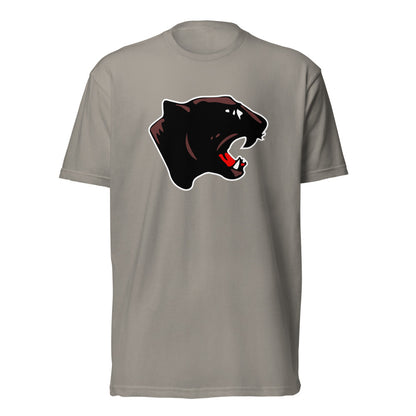 Collinsville High School Design 1 — Stone Grey