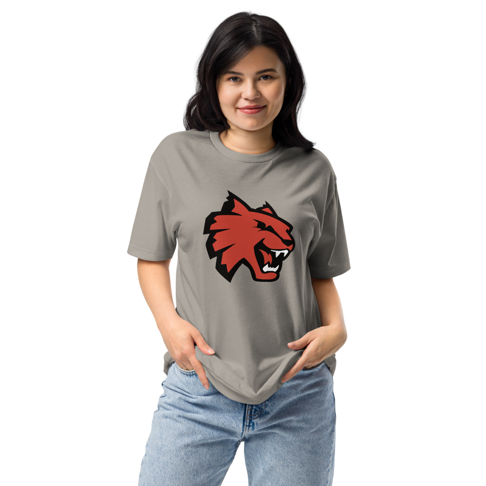 Las Vegas High School Design 1 — Stone Grey