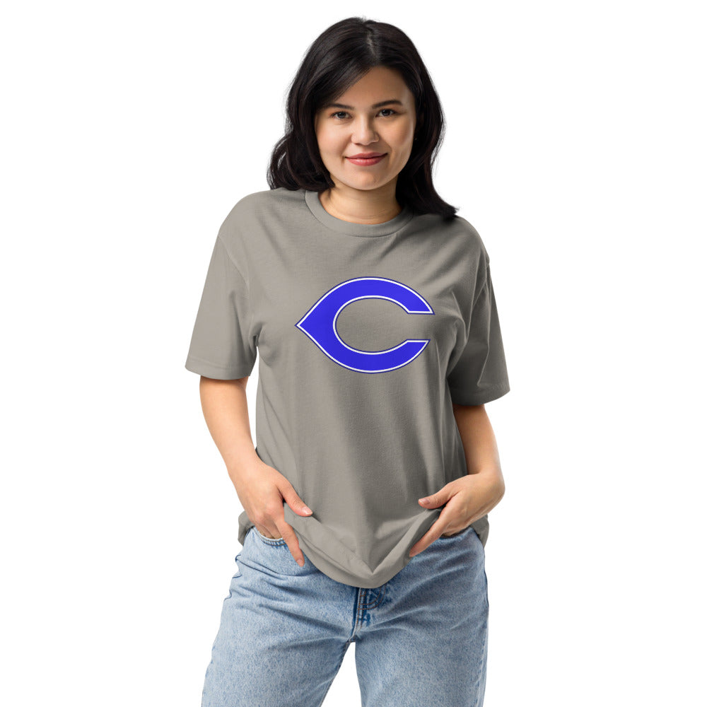 Childersburg High School Design 1 — Stone Grey