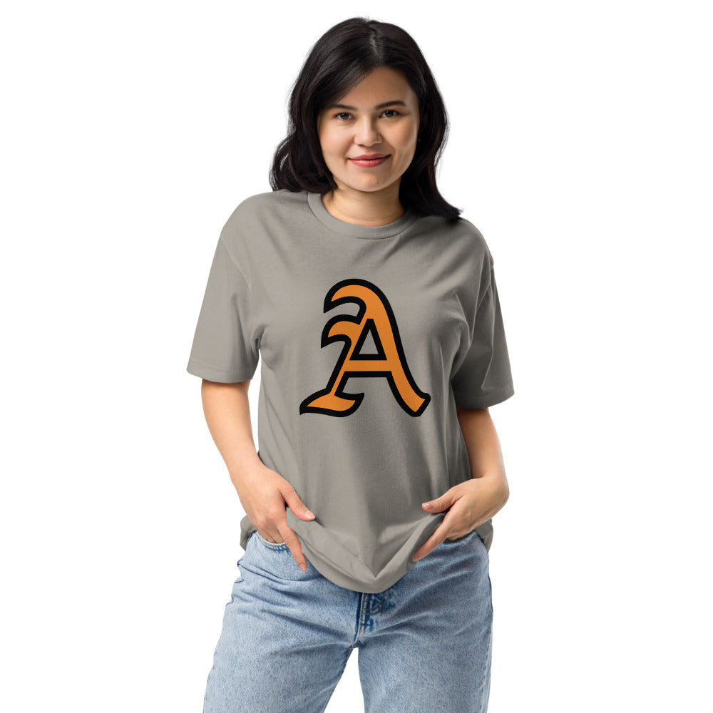 Alexandria High School Design 1 — Stone Grey