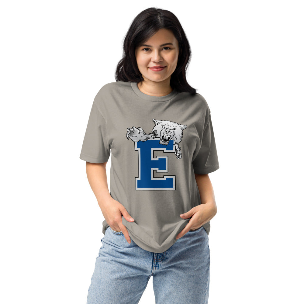 Enterprise High School Design 1 — Stone Grey