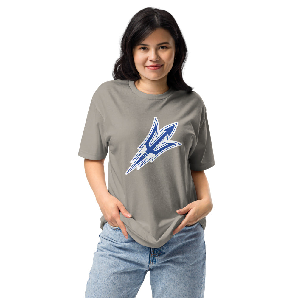 Sulligent High School Design 1 — Stone Grey