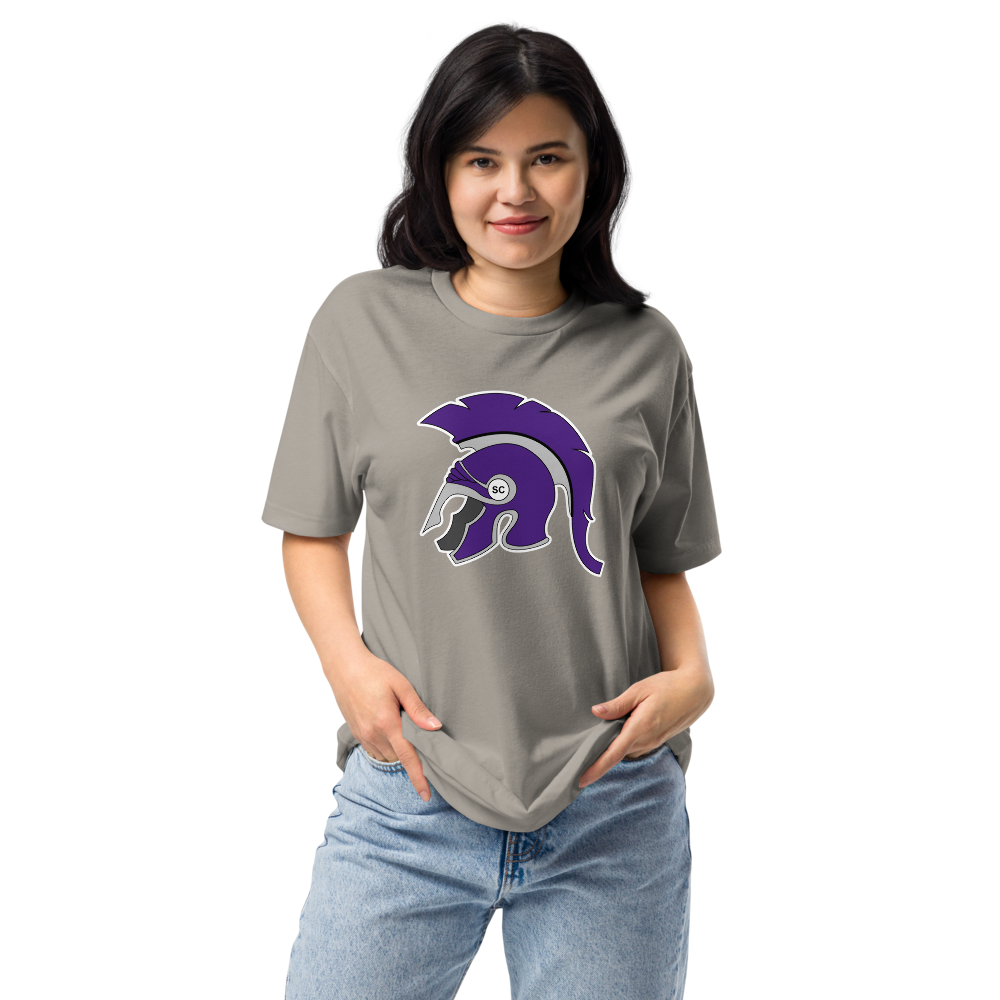 Spring Creek High School Design 1 — Stone Grey