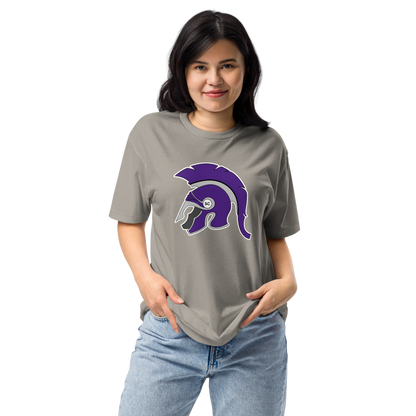 Spring Creek High School Design 1 — Stone Grey