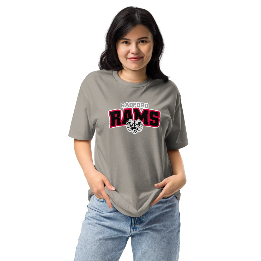 Radford High School Design 1 — Stone Grey