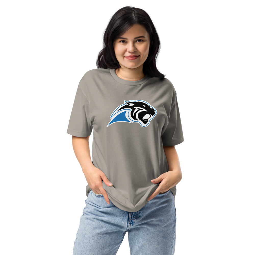 Pahranagat Valley High School Design 1 — Stone Grey
