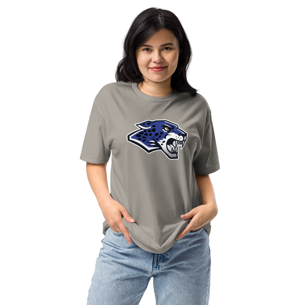 Desert Pines High School Design 1 — Stone Grey