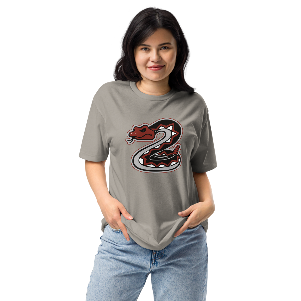 Desert Oasis High School Design 1 — Stone Grey
