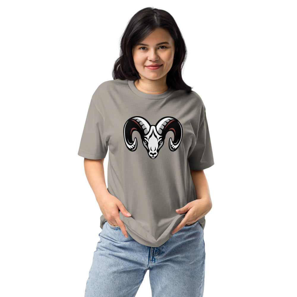Faith Academy Design 1 — Stone Grey